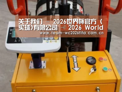 2026世界杯买球官网案例展示三