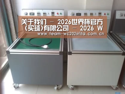 2026世界杯买球官网案例展示二