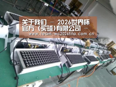 2026世界杯买球官网案例展示一(图1)