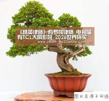 《精英律师》有罗槟律师 电视届有TCL大屏影院_2026世界杯买球官网app下载地址(图2) 2026世界杯买球官网