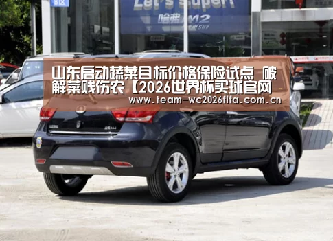 山东启动蔬菜目标价格保险试点 破解菜贱伤农【2026世界杯买球官网app下载地址】(图4) 2026世界杯买球官网